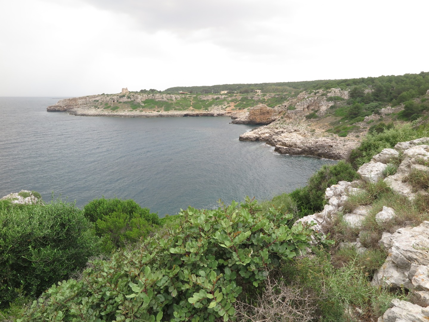 Grotta del Cavallo_1